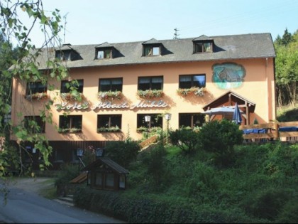 Фото: Waldhotel Albachmuhle